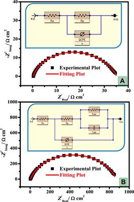 Novel Natural Surfactant-Based Fatty Acids and Their Corrosion-Inhibitive Characteristics for Carbon Steel-Induced Sweet Corrosion: Detailed Practical and Computational Explorations